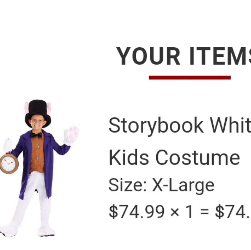 Alice in Wonderland rabbit costume